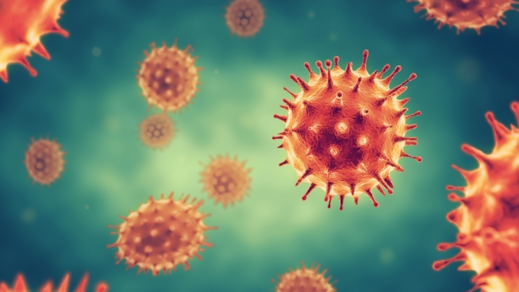 Das Coronavirus macht auch vor den Promis nicht Halt.
