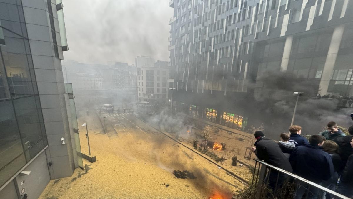 Gehen die Bauernproteste zu weit? (Foto)