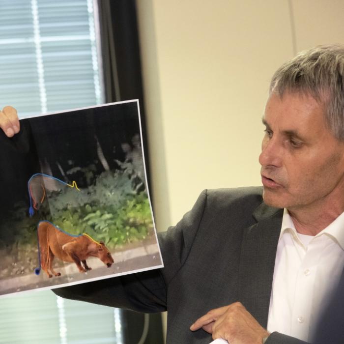 Wildschwein-Theorie nur eine Lüge? Twitter wittert wilde Verschwörung