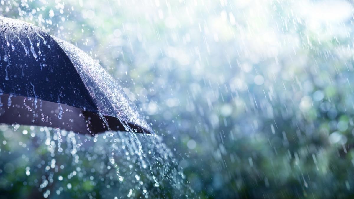 Die milde und nasse Westwetterlage dauert weiterhin an. (Foto)