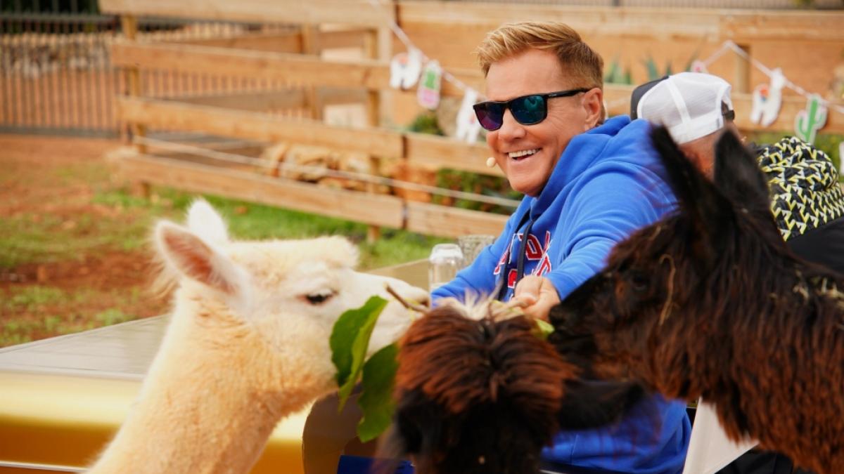 DSDS-Juror Dieter Bohlen beim Recall auf Mallorca. (Foto)