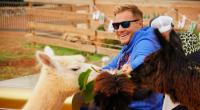 DSDS-Juror Dieter Bohlen beim Recall auf Mallorca.