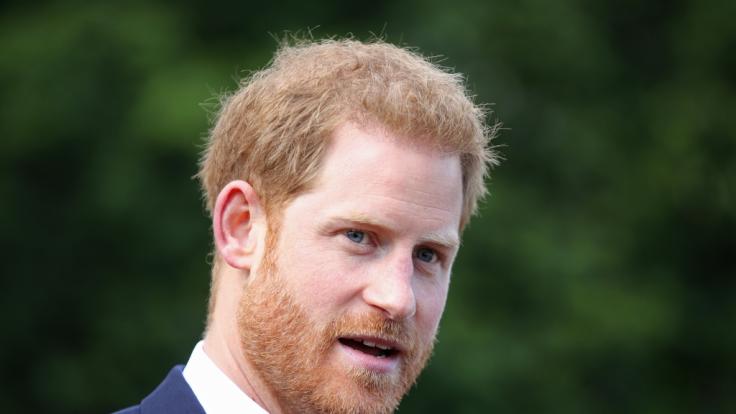 Prinz Harry bittet jetzt Schwägerin Kate Middleton um Hilfe.