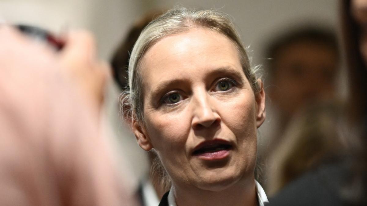 AfD-Partei-Chefin Alice Weidel (47) macht Druck auf die Bundesregierung nach den j&uuml;ngsten Wahlerfolgen.&nbsp; (Foto)