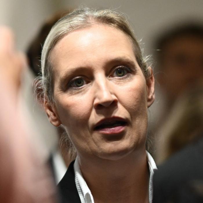 Geheimer Machtplan - Weidel-Partei mit dreister Forderung 