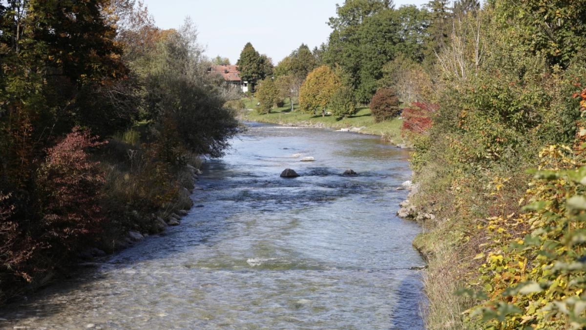 Die Leiche einer 23-J&auml;hrigen wurde im Fluss Prien entdeckt - die Frau fiel ersten Erkenntnissen zufolge einem Gewaltverbrechen zum Opfer. (Foto)