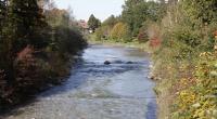 Die Leiche einer 23-Jährigen wurde im Fluss Prien entdeckt - die Frau fiel ersten Erkenntnissen zufolge einem Gewaltverbrechen zum Opfer.