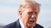 Donald Trump hat wütend auf Berichte über seine schlechten Umfragewerte reagiert.
