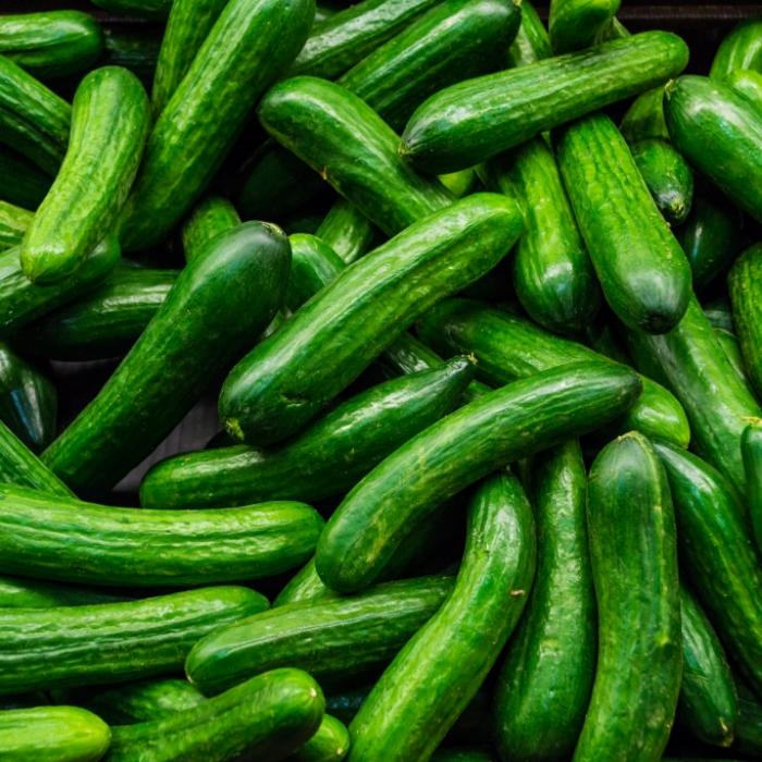3-Euro-Gurke sorgt für Entsetzen! DARUM ist Gemüse derzeit extrem teuer
