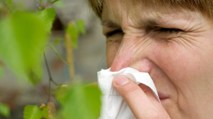 Pollen machen für Allergiker den Frühling und Sommer zur Hölle.