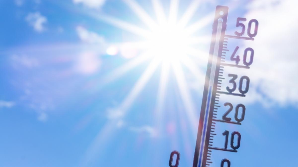 Der Sommer kommt nach Deutschland zur&uuml;ck. (Foto)