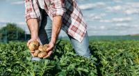 Was besagen die Bauernregeln im August 2020?