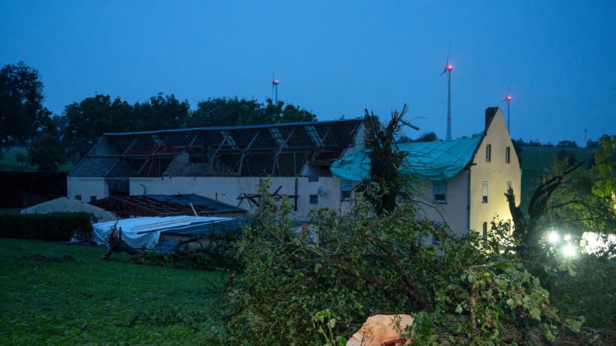 Umgest&uuml;rzte B&auml;ume und ein zerst&ouml;rtes Dach zeugen von heftigem Wind, der in dem Ort im Eifelkreis Bitburg-Pr&uuml;m geweht hat. (Foto)