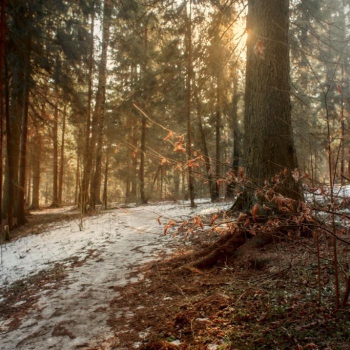 Nach der Wärme-Überraschung folgt die kalte Winterwende