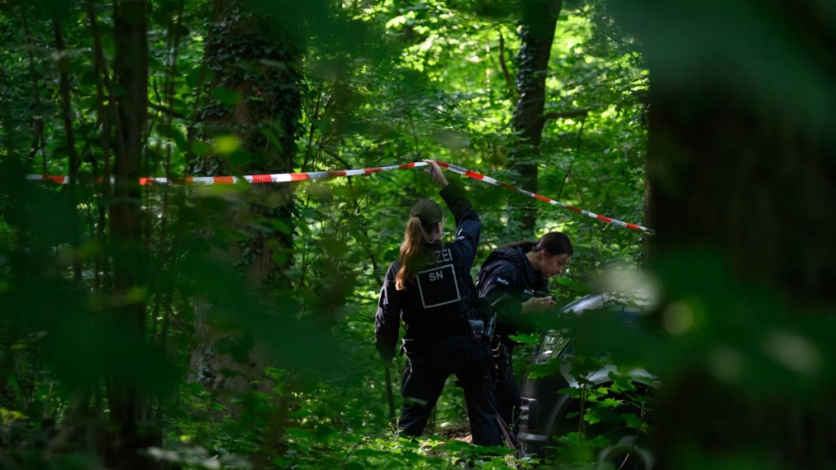 Die Leiche der Neunj&auml;hrigen wurde in einem Waldst&uuml;ck bei D&ouml;beln gefunden. (Foto)