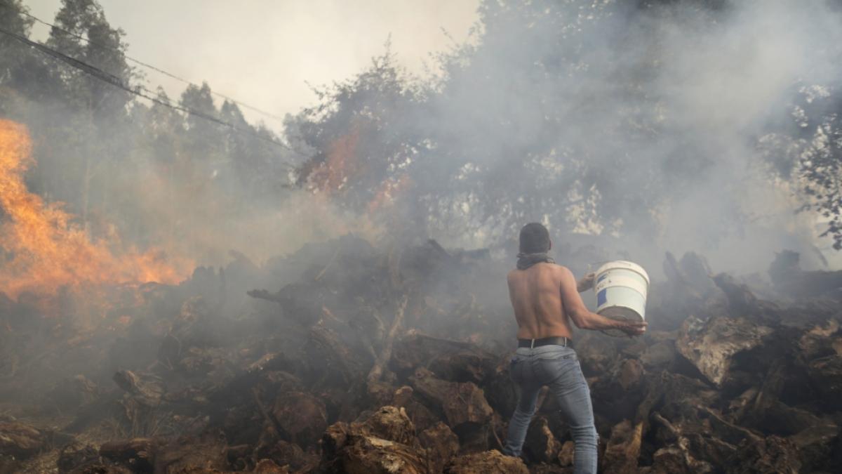Waldbr&auml;nde, extreme Hitze und Trockenheit halten S&uuml;deuropa in Schach. (Foto)