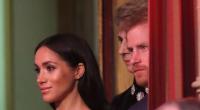 Der britische Prinz Harry (r) und seine Frau Meghan, Herzogin von Sussex, bei der jährlich stattfindenden Royal British Legion Festival of Remembrance in der Royal Albert Hall.