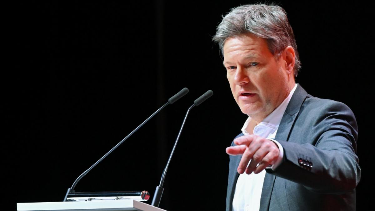 Bundeswirtschaftsminister Robert Habeck spricht auf einer Konferenz. (Foto)