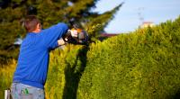 Vorsicht beim Schneiden der Hecke - wer das zum falschen Zeitpunkt erledigt, muss mit einem Bußgeld rechnen.