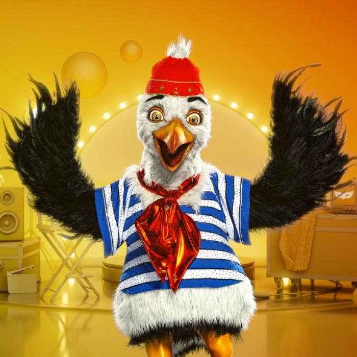 Möwe enttarnt! ER steckte unter dem Vogel-Kostüm