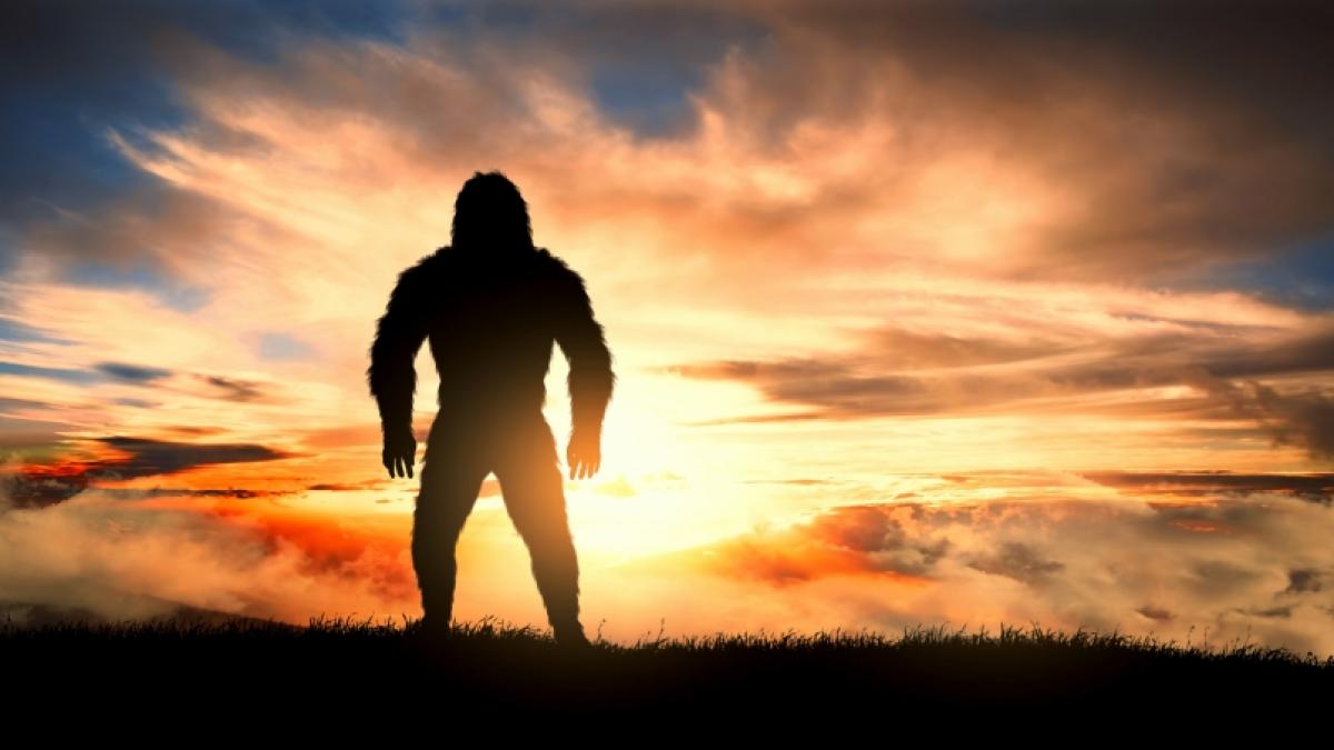 Die Frage nach der Existenz des Bigfoot ist auch weiterhin nicht gekl&auml;rt. (Foto)