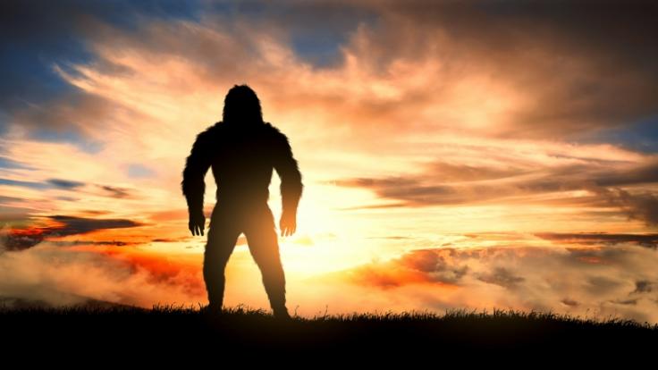 Die Frage nach der Existenz des Bigfoot ist auch weiterhin nicht geklärt.