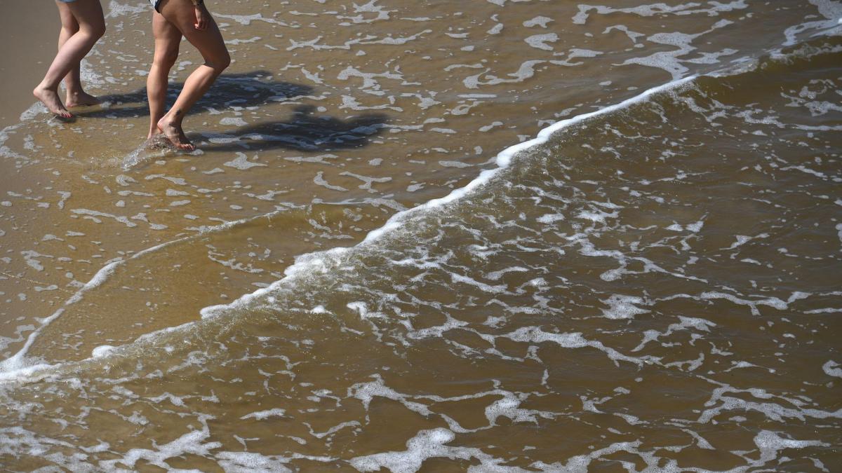 In der Ostsee werden im Sommer regelm&auml;&szlig;ig Vibrionen nachgewiesen. (Foto)