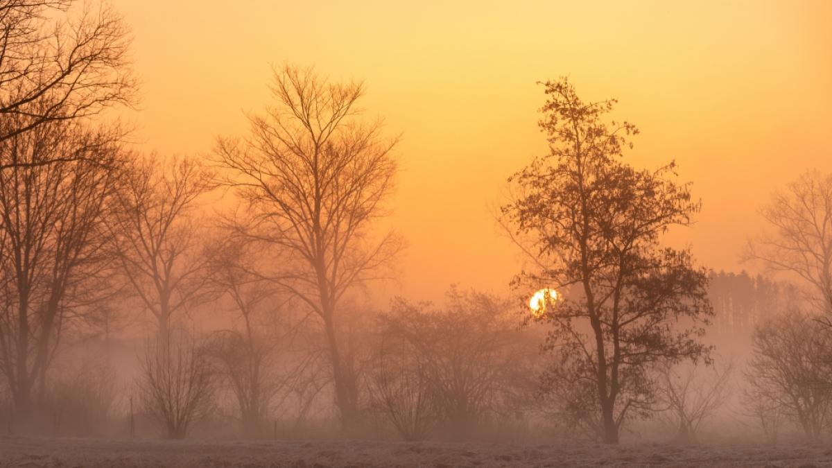 Am Wochenende tr&uuml;bt Saharastaub erneut den Himmel. (Foto)