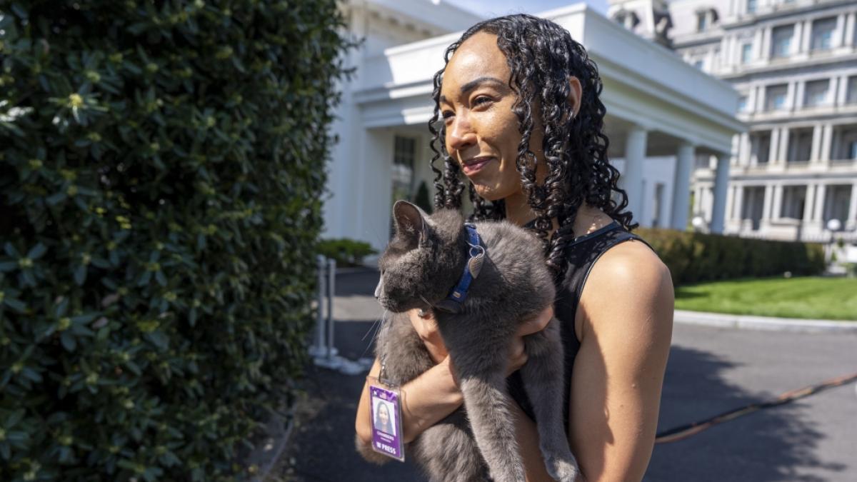 Schlie&szlig;lich wurde die Katze wieder ihrem Besitzer zur&uuml;ckgegeben. (Foto)