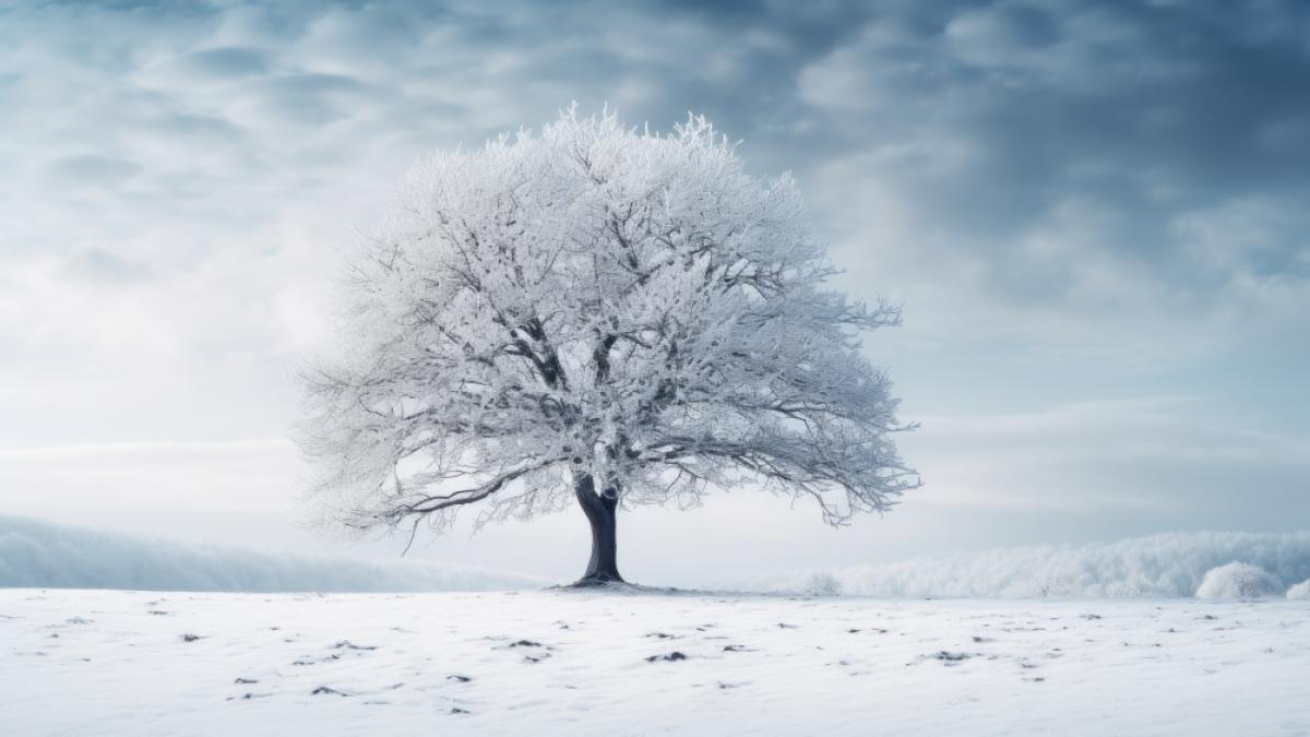 Bis zu 30 Zentimeter Neuschnee sind am Wochenende m&ouml;glich. (Foto)