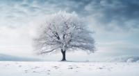 Bis zu 30 Zentimeter Neuschnee sind am Wochenende möglich.