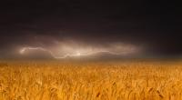 Droht in der zweiten Monatshälfte bereits herbstliches Wetter?