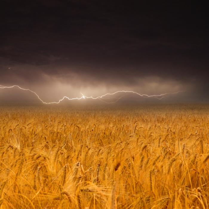 Erster Herbststurm Mitte August? Wettermodell sorgt für Verwirrung