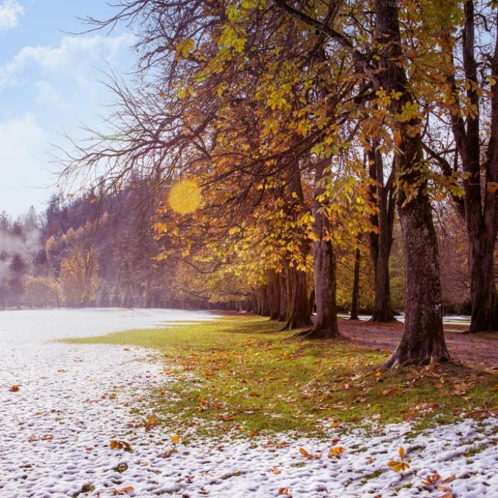 Erster Schnee im September? Das sagen Meteorologen voraus