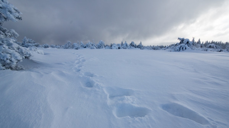 Tief Finja sorgt für 1,5 Meter Neuschnee.