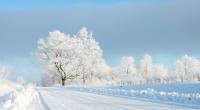 Droht uns im Februar 2022 viel Schnee?