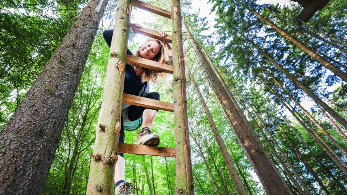 Janine Wissler (Die Linke), klettert auf einer Leiter zu einem Baumhaus im Dannenr&ouml;der Wald. (Foto)