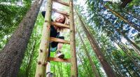 Janine Wissler (Die Linke), klettert auf einer Leiter zu einem Baumhaus im Dannenröder Wald.