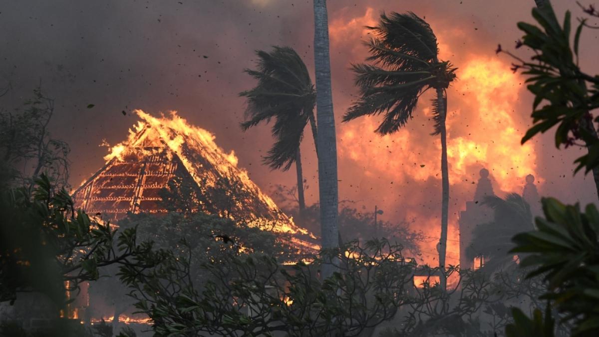Flammen-Inferno auf Hawaii: Der K&uuml;stenort Lahaina wurde komplett zerst&ouml;rt. (Foto)
