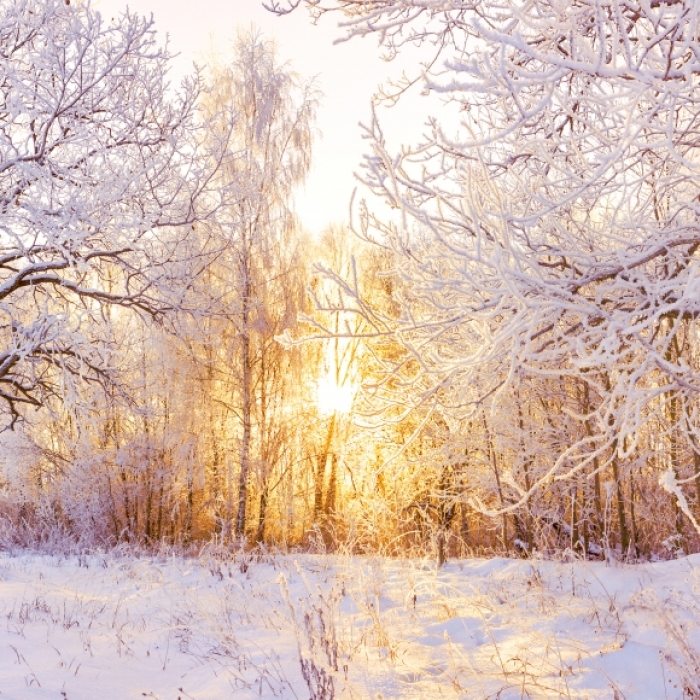 Polarwirbel schwächelt, Kaltlufteinbruch droht! Wettermodell prophezeit -10 Grad