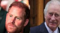Prinz Harry und König Charles III. sorgten für die Royals-News der Woche.