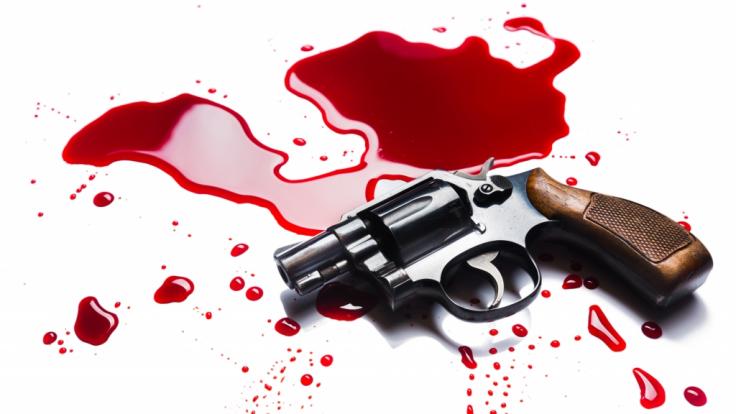 Nach einem eskalierten Familienstreit griff ein 57-Jähriger zur Waffe und erschoss seine Ehefrau und seine beiden Teenager-Söhne (Symbolbild).
