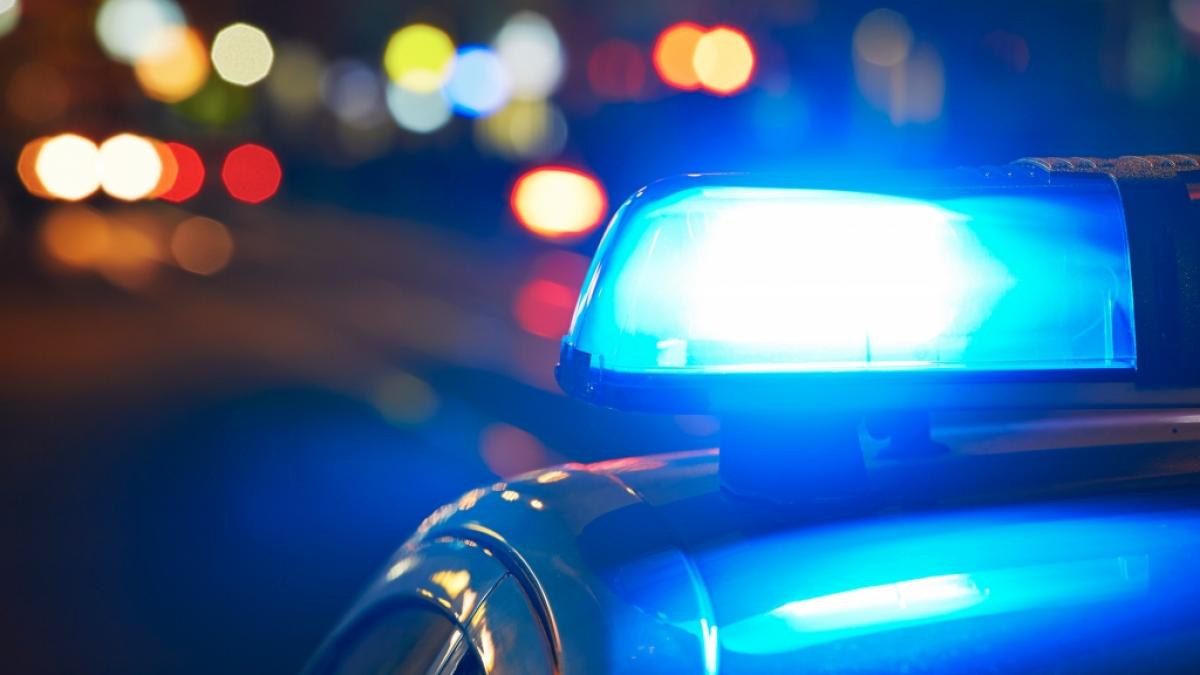 Die Polizei fahndet nach einer Millionen-Diebin aus Stuttgart. (Symbolfoto) (Foto)
