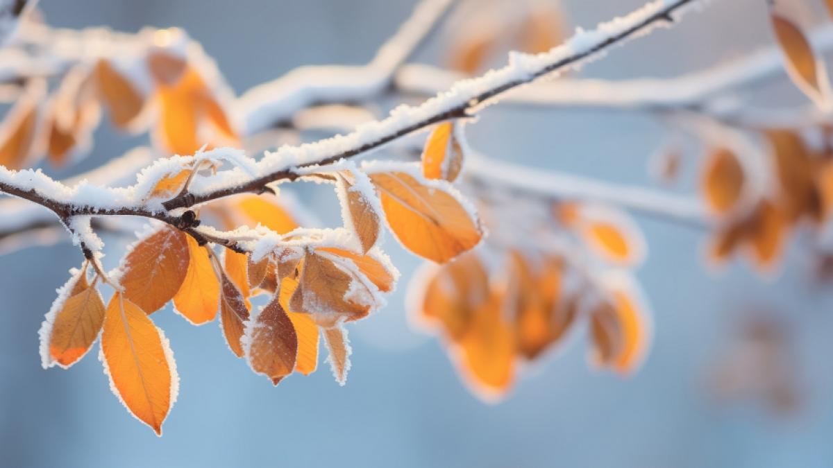 Droht n&auml;chste Woche ein Wintereinbruch? (Foto)