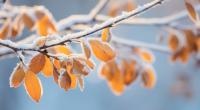 Droht nächste Woche ein Wintereinbruch?