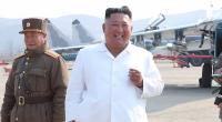 Will Kim Jong-un Delfine als schwimmende Soldaten einsetzen?