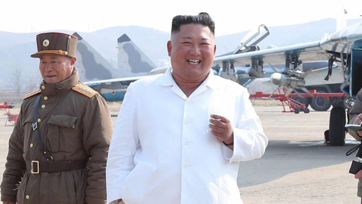 Will Kim Jong-un Delfine als schwimmende Soldaten einsetzen?