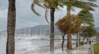 Heftige Unwetter haben auf Mallorca schwere Schäden angerichtet.