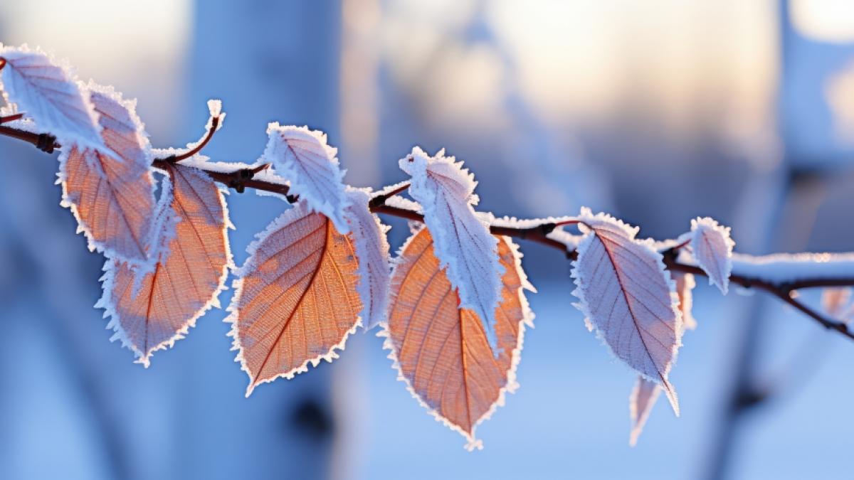 Droht uns im November ein eiskalter Wintereinbruch? (Foto)