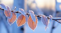 Droht uns im November ein eiskalter Wintereinbruch?